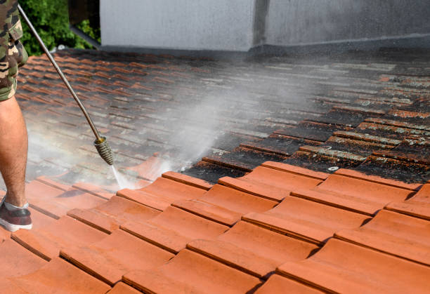 Best Power Washing Near Me  in Columbus Af, MS