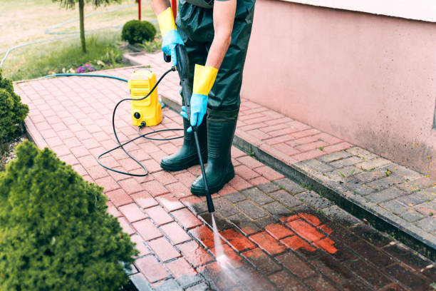 Best Pressure Washing Near Me  in Columbus Af, MS