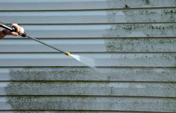 Best Local Pressure Washing Services  in Columbus Af, MS