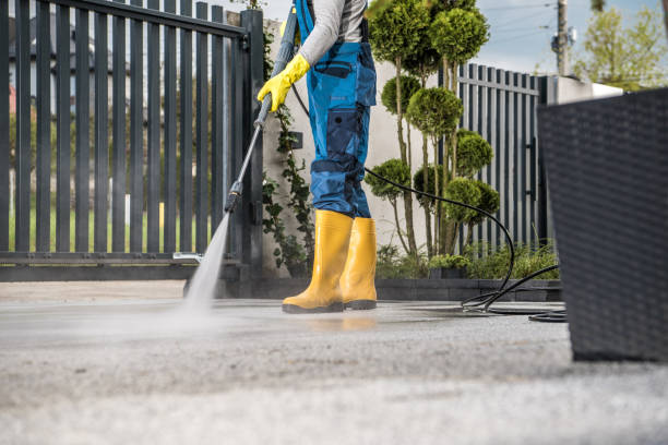 Best Best Pressure Washing Companies  in Columbus Af, MS