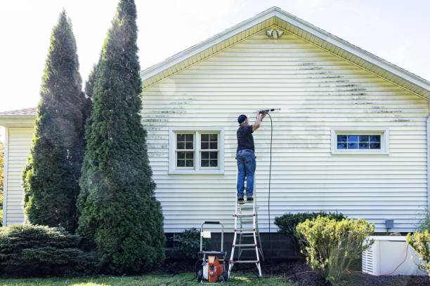 Best Pressure Washing Near Me  in Columbus Af, MS